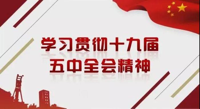 乐盈VI新能源党委专题学习研讨党的十九届五中全会精神